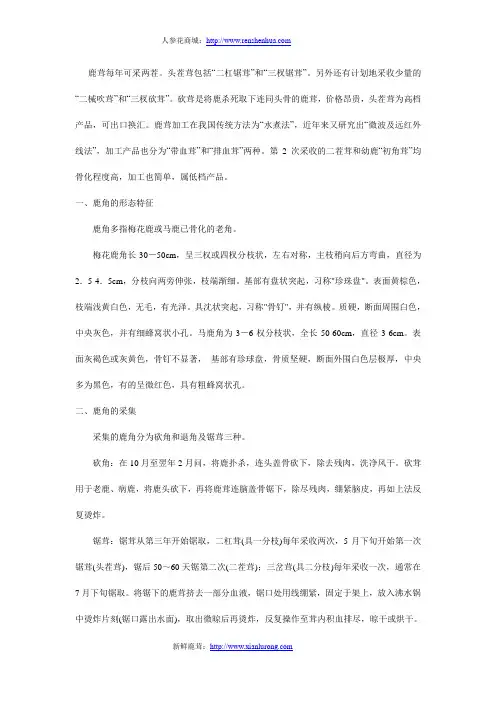 带你了解鹿茸的采集及制作