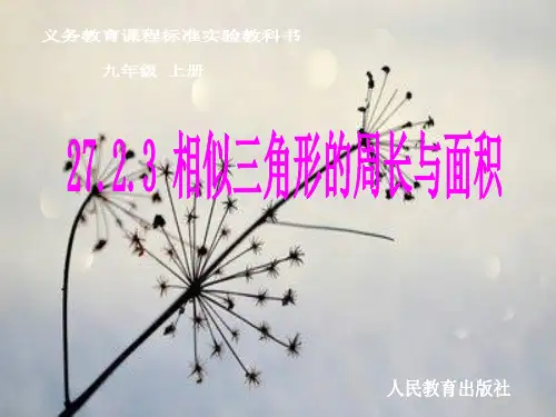 相似三角形的周长与面积PPT教学课件