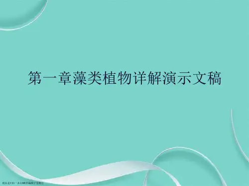 第一章藻类植物详解