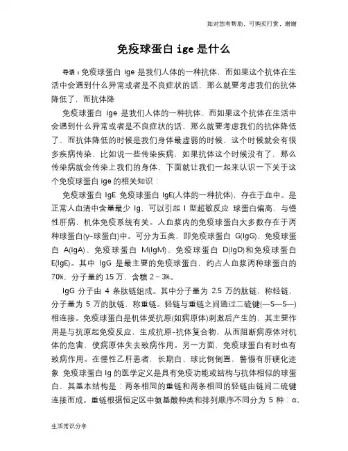 免疫球蛋白ige是什么