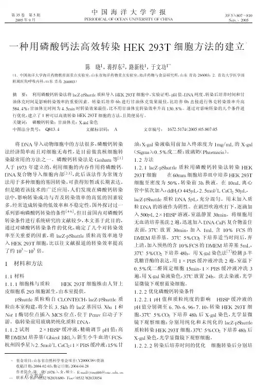 一种用磷酸钙法高效转染HEK293T细胞方法