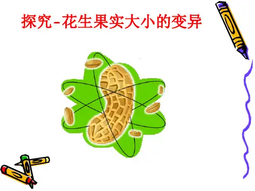 探究花生果实大小的变异课件