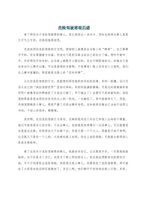 危险驾驶罪观后感