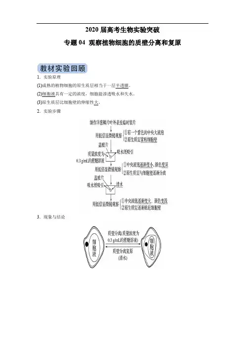 2020届高考生物实验突破 专题04 观察植物细胞的质壁分离和复原(解析版)