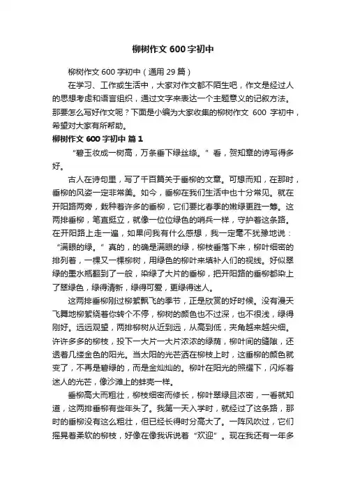 柳树作文600字初中