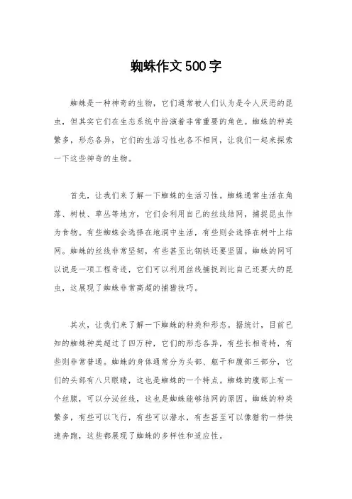 蜘蛛作文500字