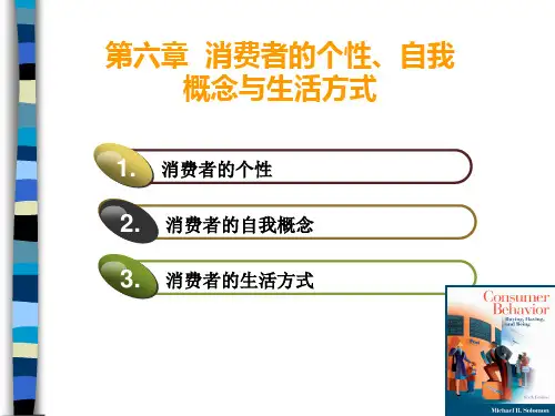 消费者的个性自我概念与生活方式概述