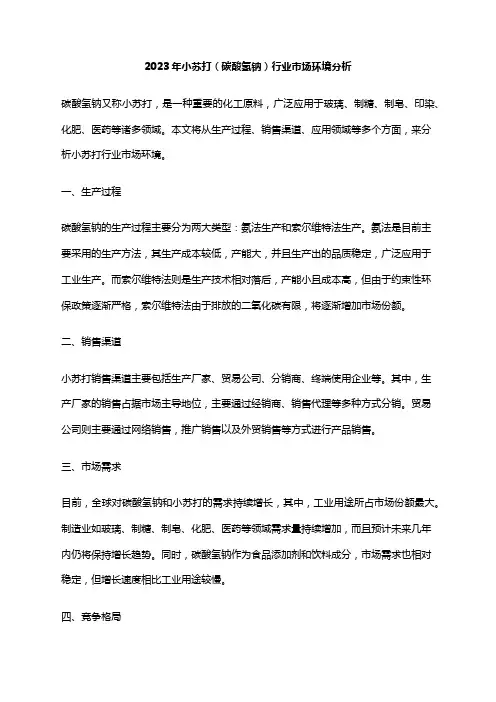 2023年小苏打(碳酸氢钠)行业市场环境分析