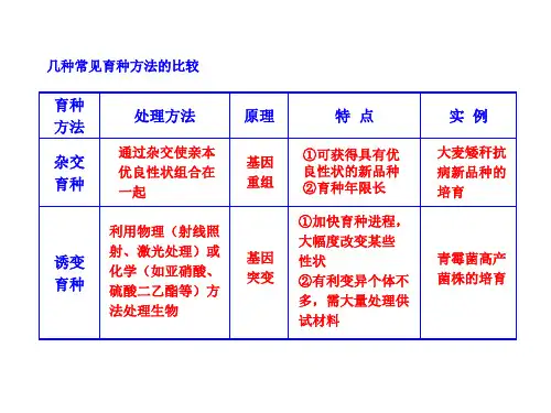 高中生物几种常见育种方法的比较