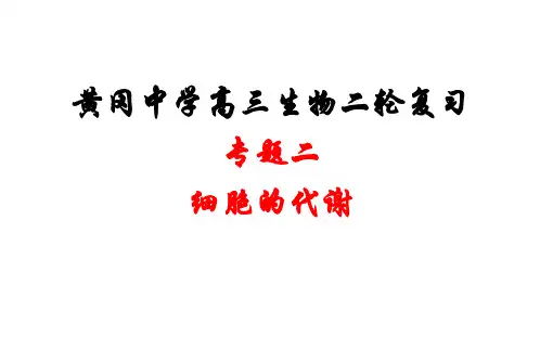 湖北省黄冈中学高三生物二轮复习精品课件2专题二 细胞代谢