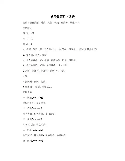 描写美的两字词语