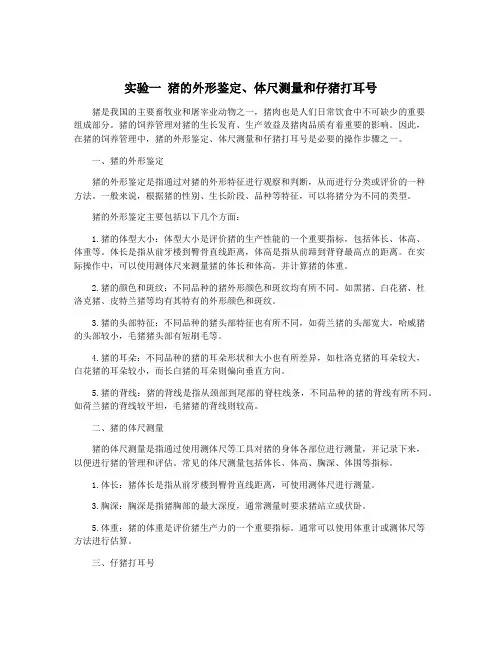 实验一 猪的外形鉴定、体尺测量和仔猪打耳号