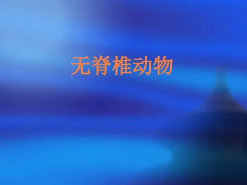 复习无脊椎动物PPT课件