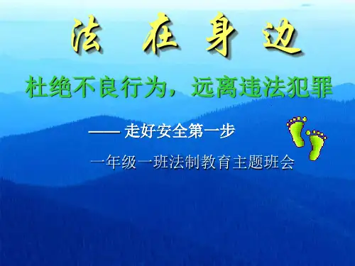 法制教育主题班会课件一年级