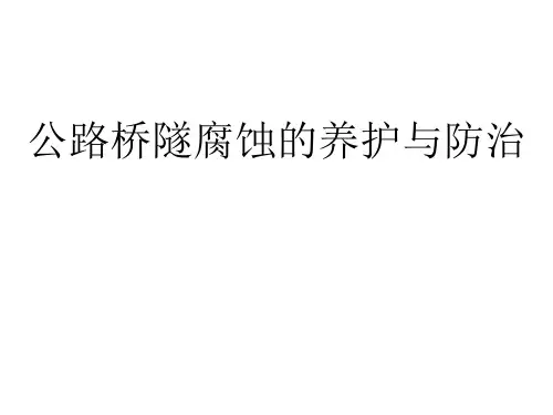 公路桥隧腐蚀的养护与防治