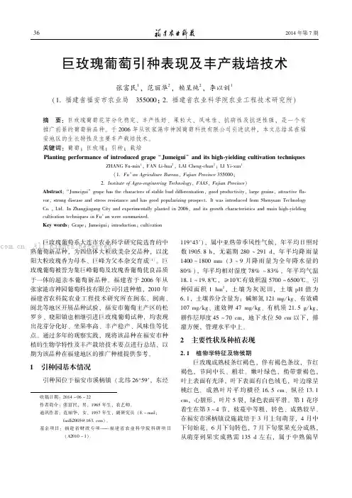 巨玫瑰葡萄引种表现及丰产栽培技术