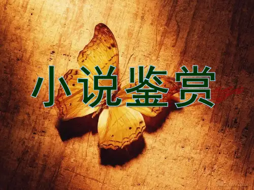 小说鉴赏ppt解析 