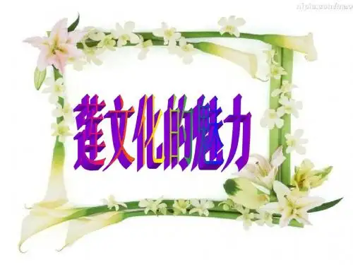 莲文化的魅力