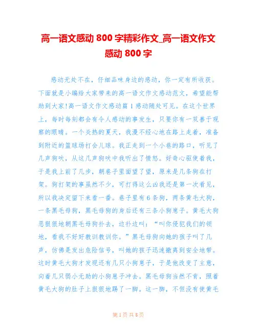 高一语文感动800字精彩作文_高一语文作文感动800字