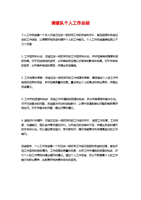 调查队个人工作总结