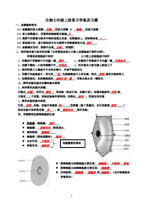 生物七年级上册复习学案及习题(含答案)