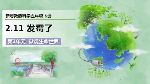 2024新粤教版科学五年级下册第2单元 微观生命世界《发霉了》优质课件