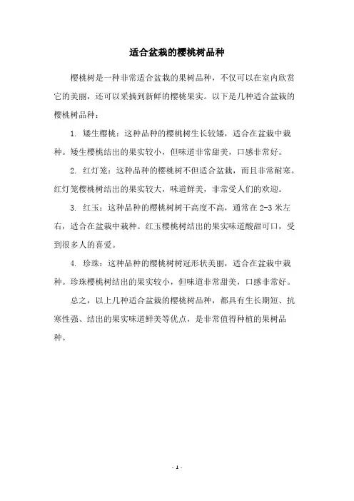 适合盆栽的樱桃树品种