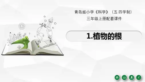 青岛版五四制年秋三上1.《植物的根》教学课件