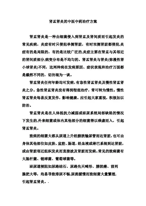 肾盂肾炎的中医中药治疗方案