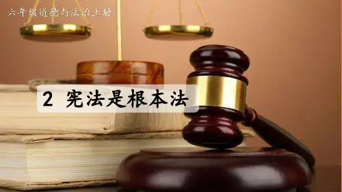 六年级道德与法治上册教学课件《宪法是根本法》