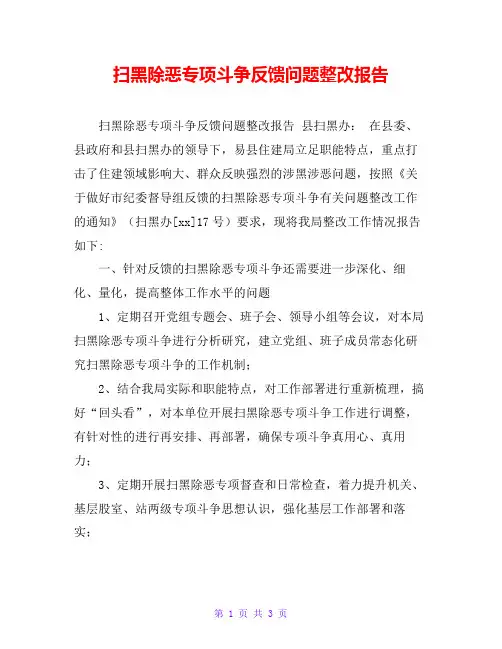 扫黑除恶专项斗争反馈问题整改报告