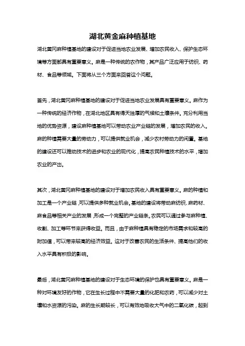 湖北黄金麻种植基地
