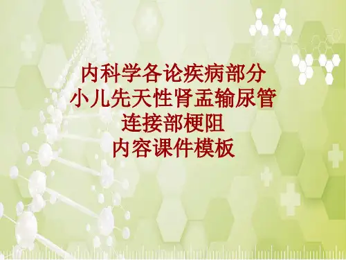 内科学_各论_疾病：小儿先天性肾盂输尿管连接部梗阻_课件模板