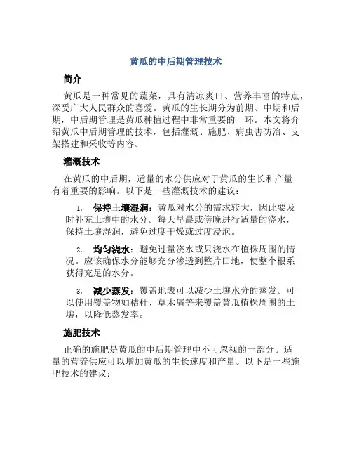 黄瓜的中后期管理技术