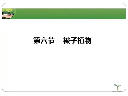 第六节被子植物