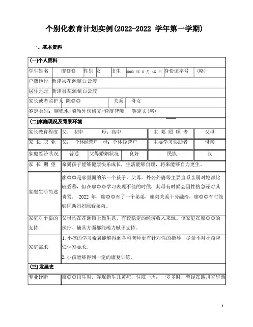 个别化教育计划实例