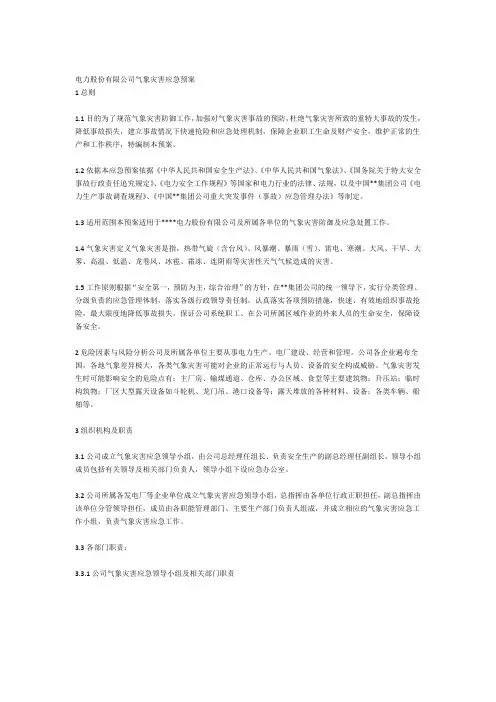 电力股份有限公司气象灾害应急预案