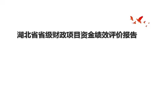 湖北省省级财政项目资金绩效评价报告