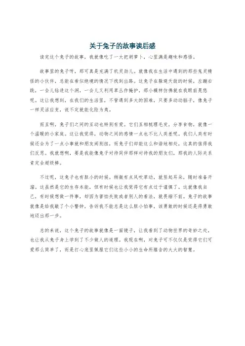 关于兔子的故事读后感