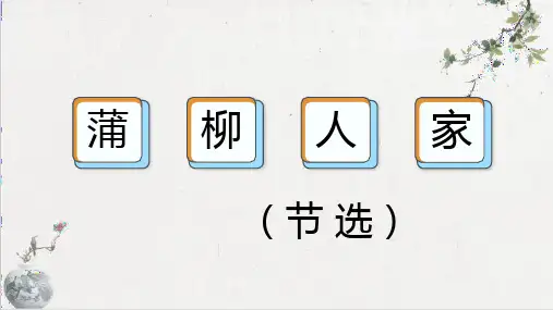 2024—2025学年统编版语文九年级下册 第8课《蒲柳人家》课件