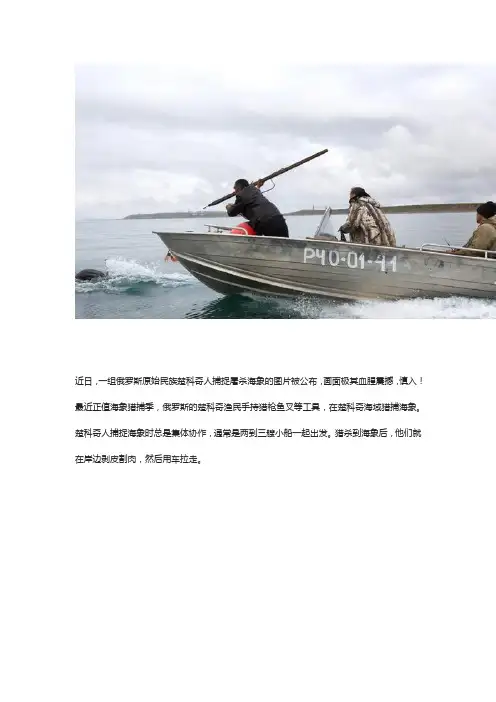 楚科奇人血腥捕杀海象震撼场景
