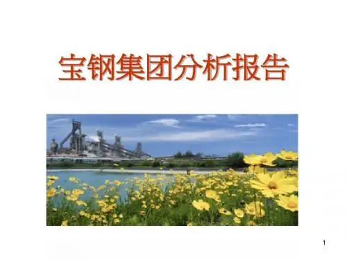 宝钢集团分析报告(完整版)
