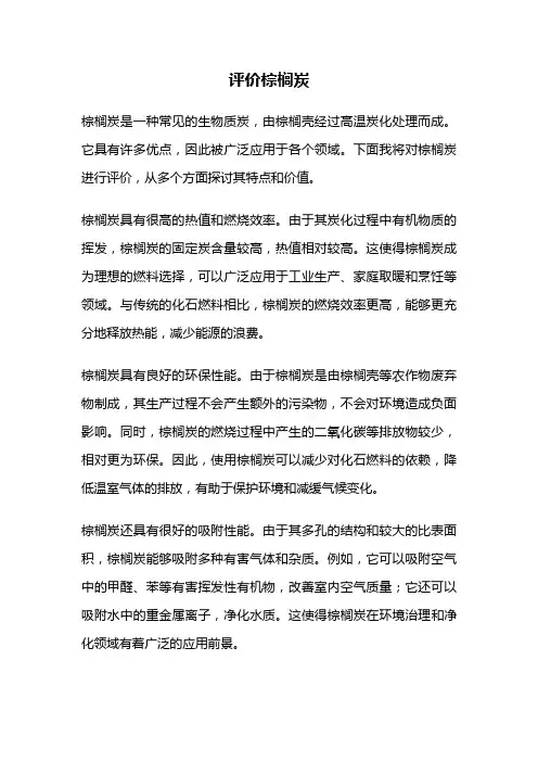评价棕榈炭