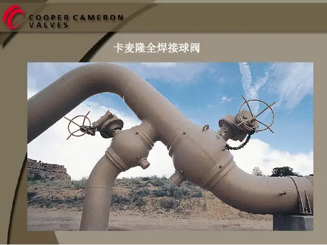 Cameron(中文)