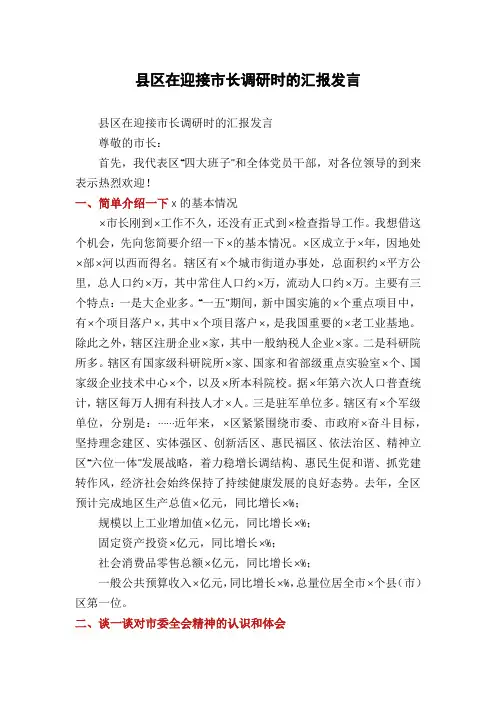 县区在迎接市长调研时的汇报发言