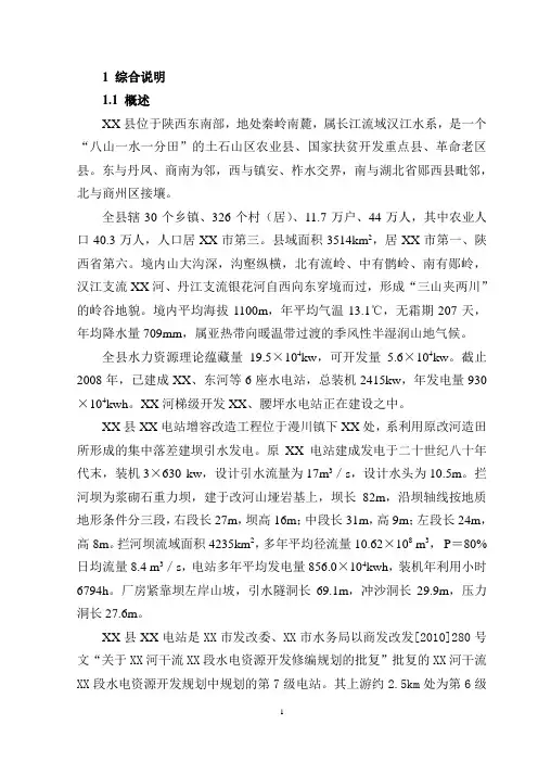 水电站新建项目立项建设项目可行性报告