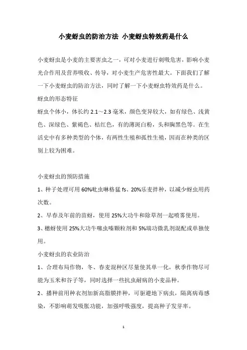 小麦蚜虫的防治方法 小麦蚜虫特效药是什么