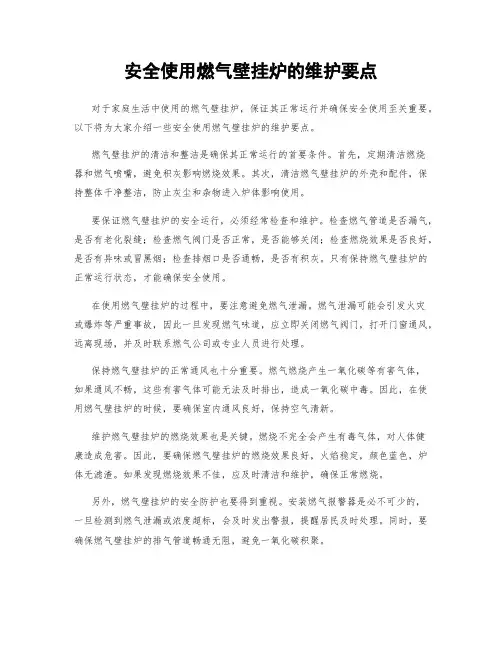 安全使用燃气壁挂炉的维护要点