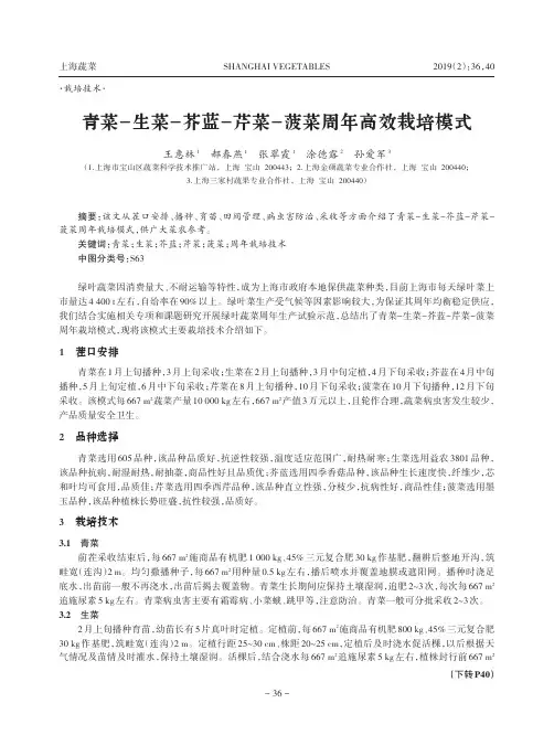 青菜生菜芥蓝芹菜菠菜周年高效栽培模式