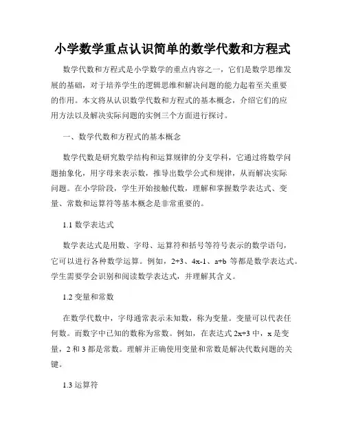 小学数学重点认识简单的数学代数和方程式